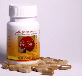 Ganoderma