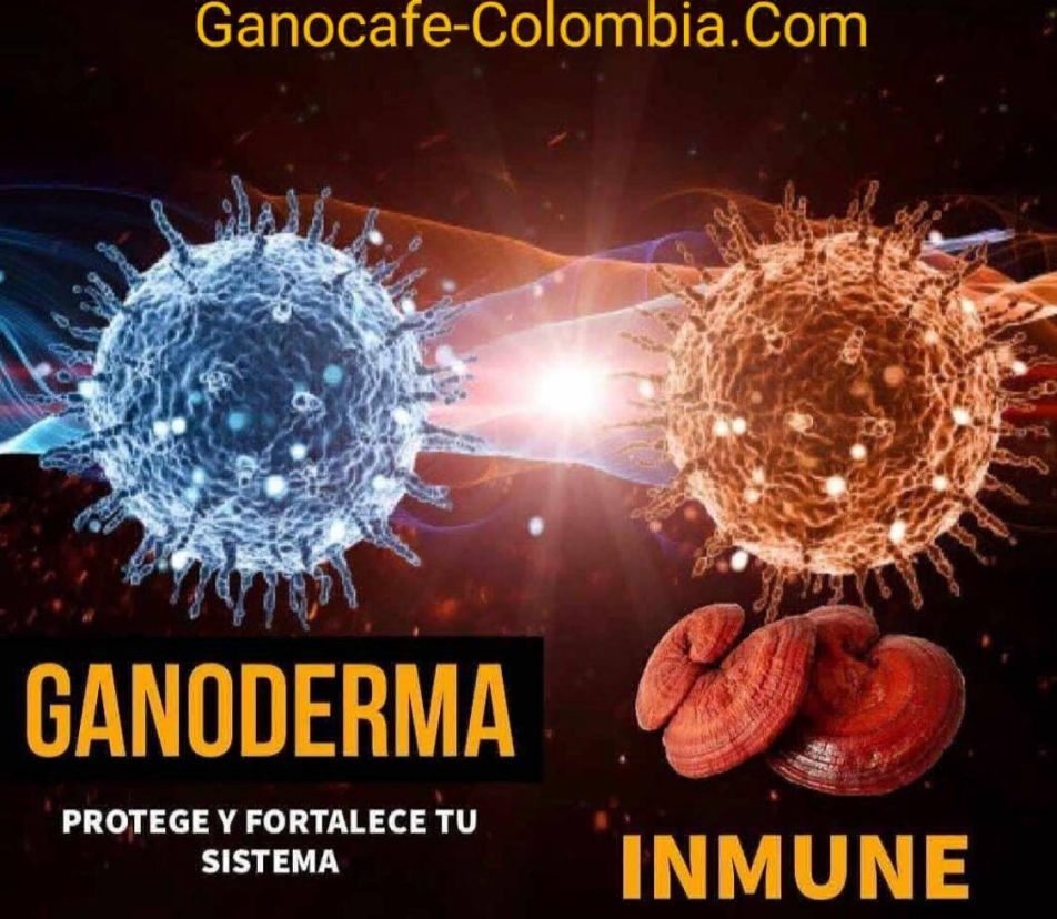 Ganoderma ayuda a proteger el sistema inmune contra el corona virus (Covid-19)